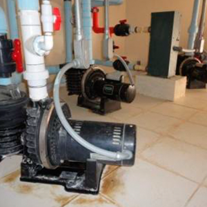 Una bomba de 3 HP. Y dos bombas de 2 HP